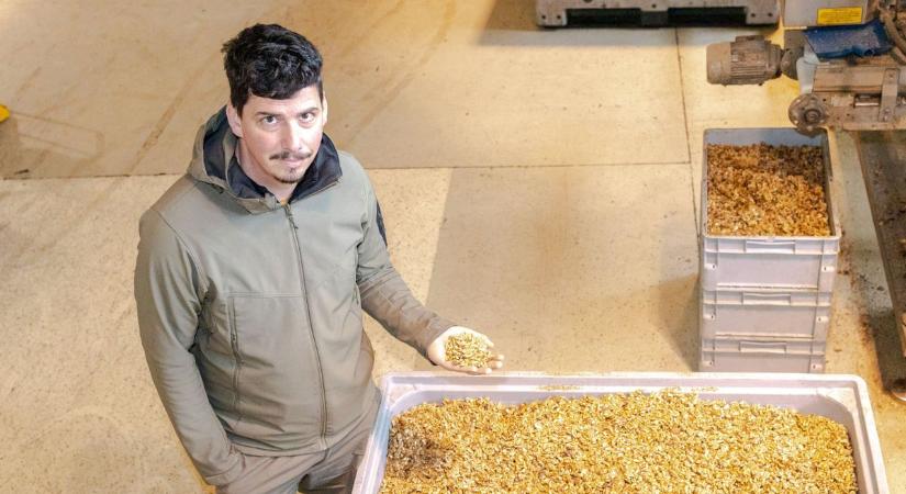 Dió, a karácsonyi asztal aranya