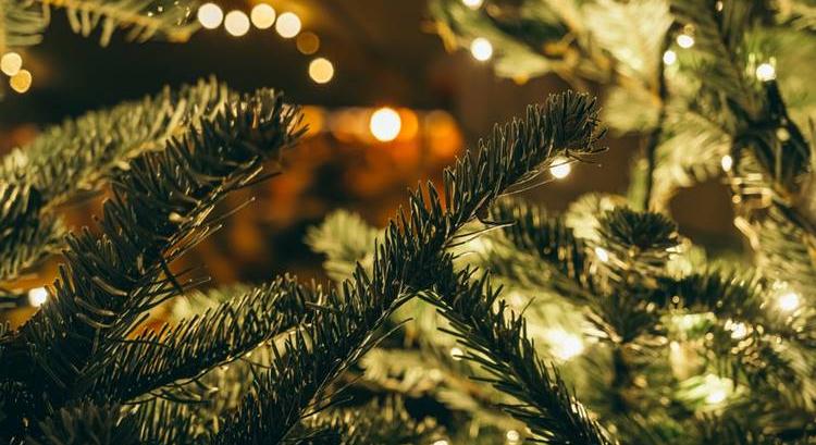 Mennyibe fog kerülni idén a karácsonyfa?
