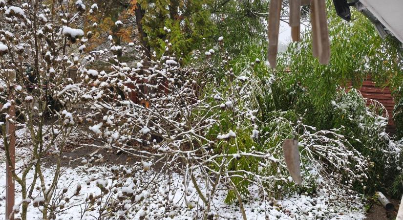 Csapadékos, télies éjszaka vár Tatabányára – erős havazás is lehet az éjjel