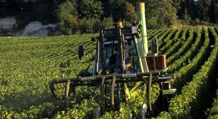 Több tízezer gazda vonulhat utcára az agrártámogatások megvágása miatt