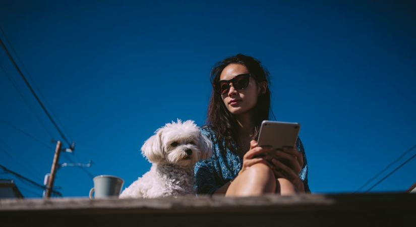 Az OLED kinyírja az LCD-t