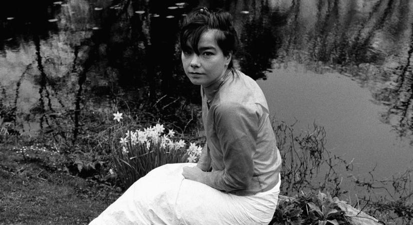 Hatvanéves Björk, a beskatulyázhatatlan izlandi zseni