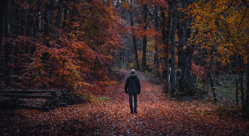 Több turistautat is lezárnak az országban: erre figyelj, ha kirándulnál a hétvégén