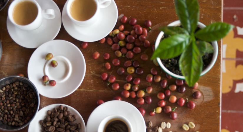 Jó hírt kaptak a kávéfogyasztók