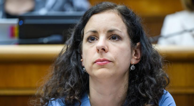 A Progresszív Szlovákia a magyar iskolák jövője miatt aggódik