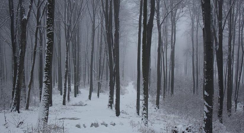 Érkezik a havas hétvége