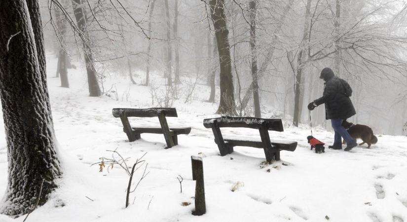 Ezt mindenkinek látnia kell: fehérbe borult Dobogókő, egyre több helyen havazik az országban (FOTÓK)