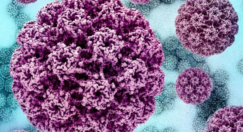 Újabb vírus robbant be Európában: az oltások sem védenek tőle teljesen