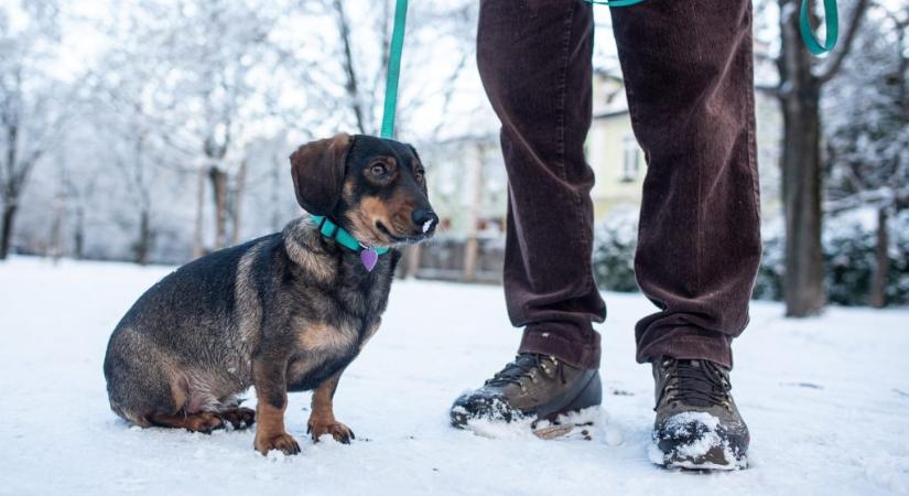 Mutatjuk, mikor számíthatunk az igazi havazásra