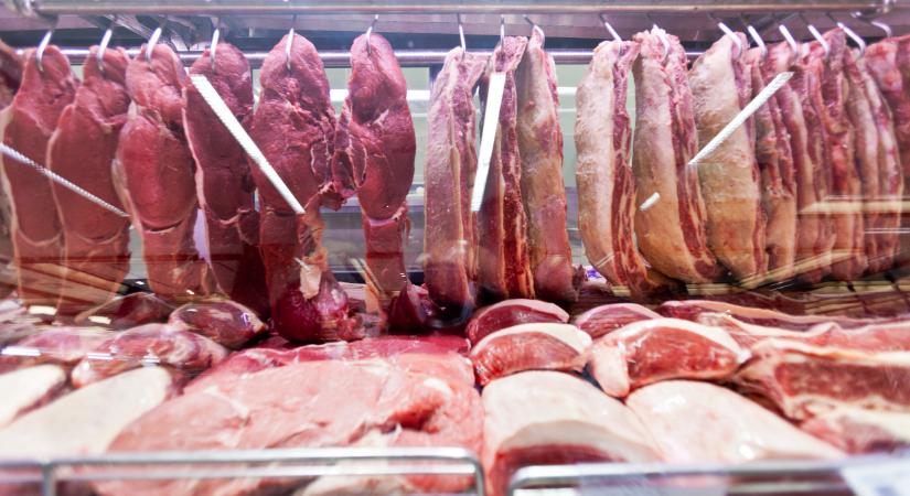 Most lehullt a lepel: aggasztó hírek érkeztek a francia sertéságazatról