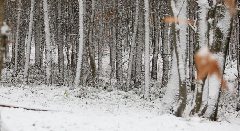 Havazás: Vasban pénteken este ismét intenzív hóesés kezdődött