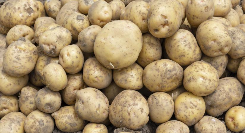 10 éve nem volt ilyen olcsó ez az étel – te is sokat eszel belőle