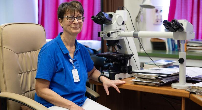 A patológia nem olyan, mint a filmekben: így működik valójában a rejtélyes egri kórházi osztály - fotókkal, videóval