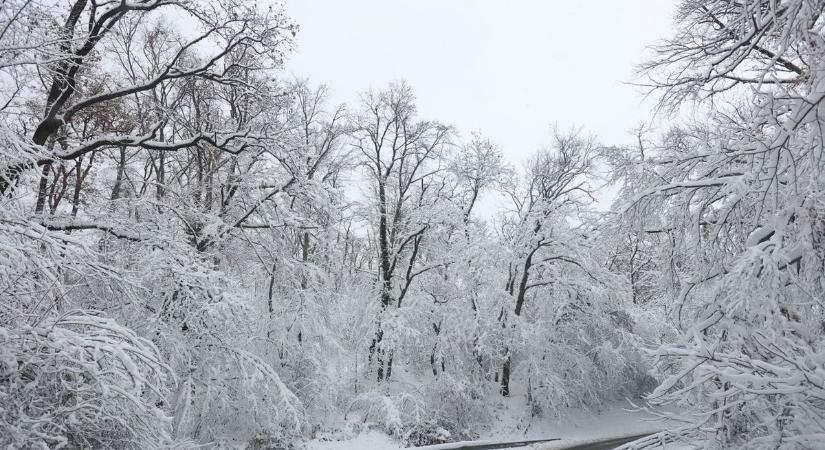 Csak az a kérdés, hogy hány centiméternyi hó lesz Baranyában holnap?