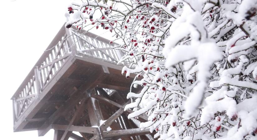 Ilyen volt az első hó Veszprém vármegyében – Napi képes hójelentés (videó)