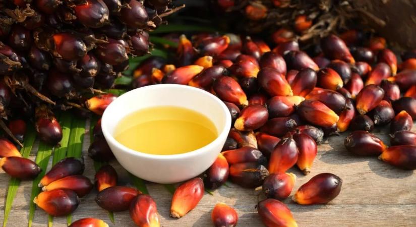 A pálmaolaj mégsem akkora mumus, mint gondoltuk? Íme az igazság!