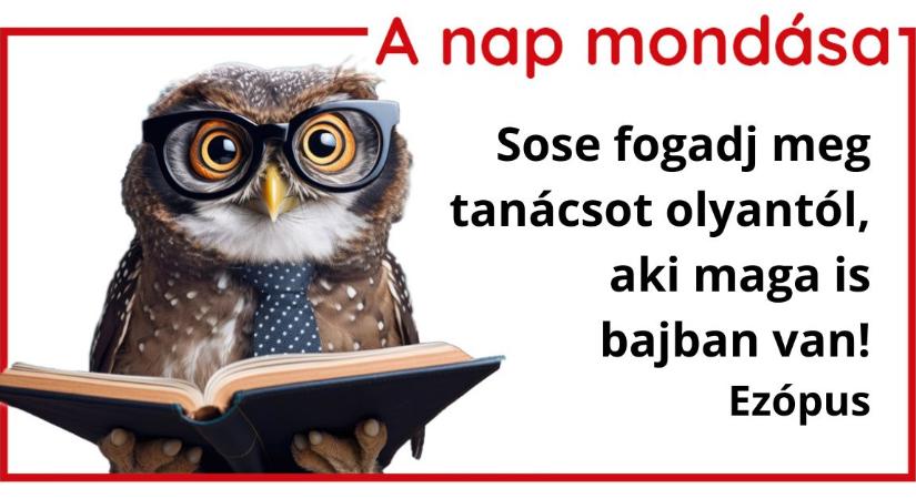 A nap mondása