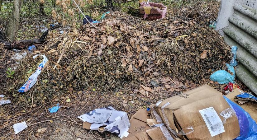 Létezik olyan technika, amellyel megelőzhetők a szekszárdi doktornő esetéhez hasonló kórházi tragédiák