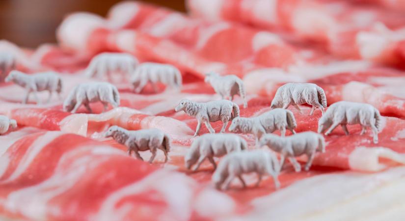 Ungváry Zsolt: Műhús-művér képviselők