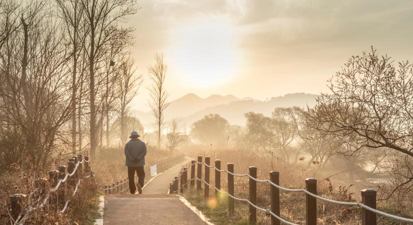 A Világosság református egyházi műsor november 23-ai ajánlata