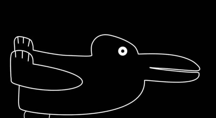 Optikai illúzió: hány állatot lát a képen? Kiderül, mennyire jó az alkalmazkodóképessége