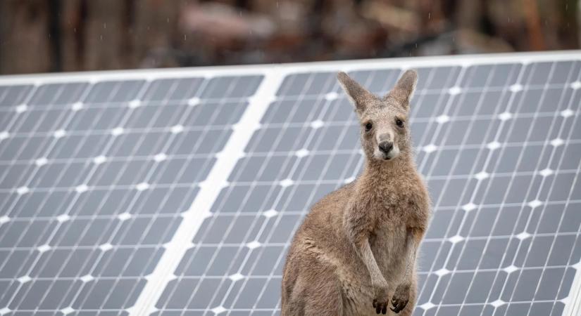 Napelemes túltermelés idején ingyen fogják kapni az áramot az ausztrál fogyasztók