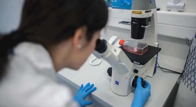 Tovább terjed itthon a veszélyes vírus, a legfertőzöttebb a főváros és több keleti vármegye