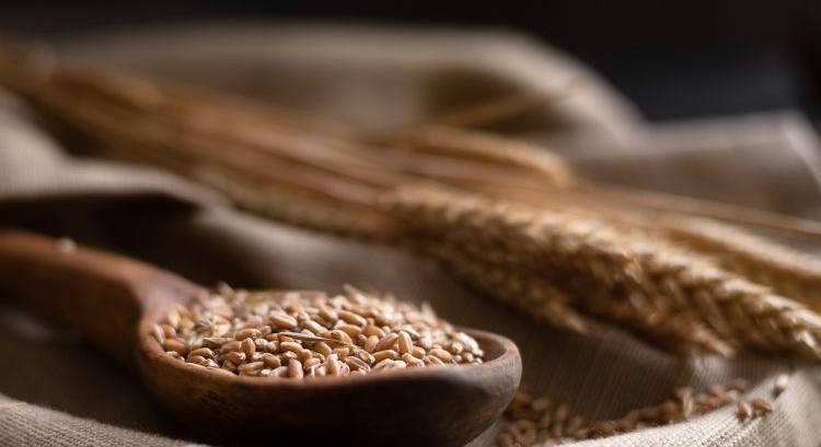 Kanada a világ legjobb búza- és durumtételeit kínálja