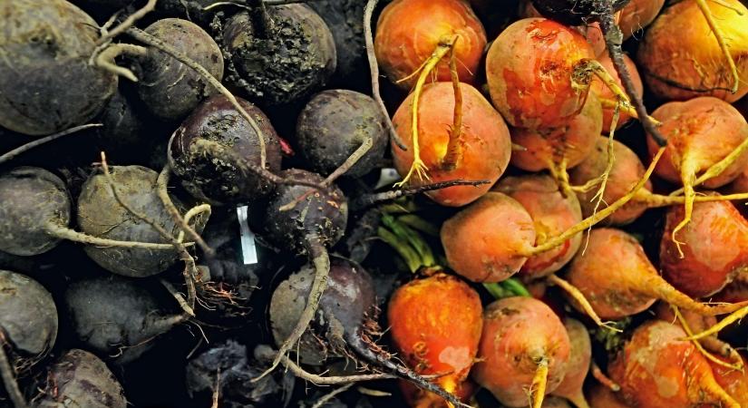 Miért romlik meg a zöldség? Tartsa frissen egész télen!