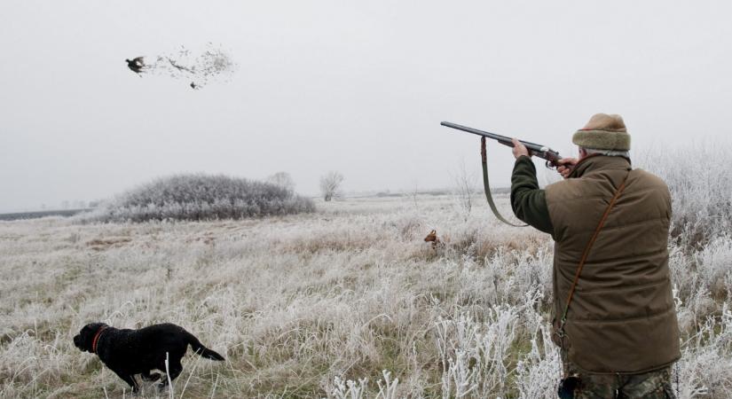Tucatnyi napon tilos lesz az erdőbe menni a Balatonnál