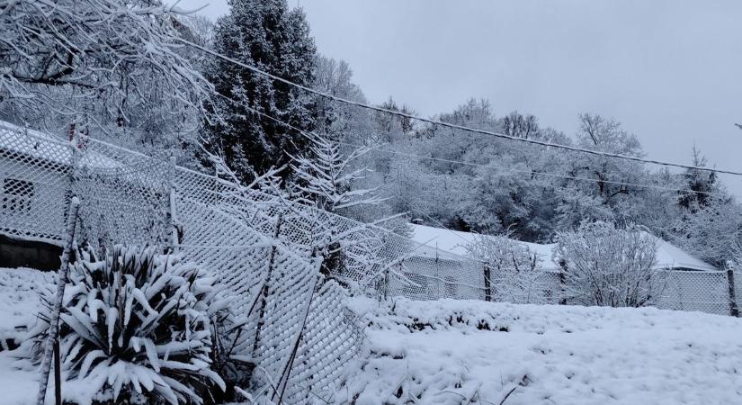 Videón, ahogy őzek sétálnak Ajkán a hóesésben