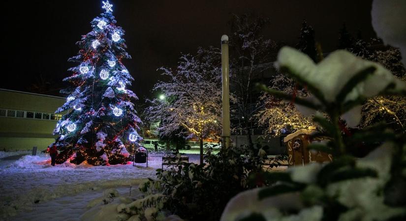 Oroszlány karácsonyi nagy dobása: 27 méter magas fenyőfát állítottak fel