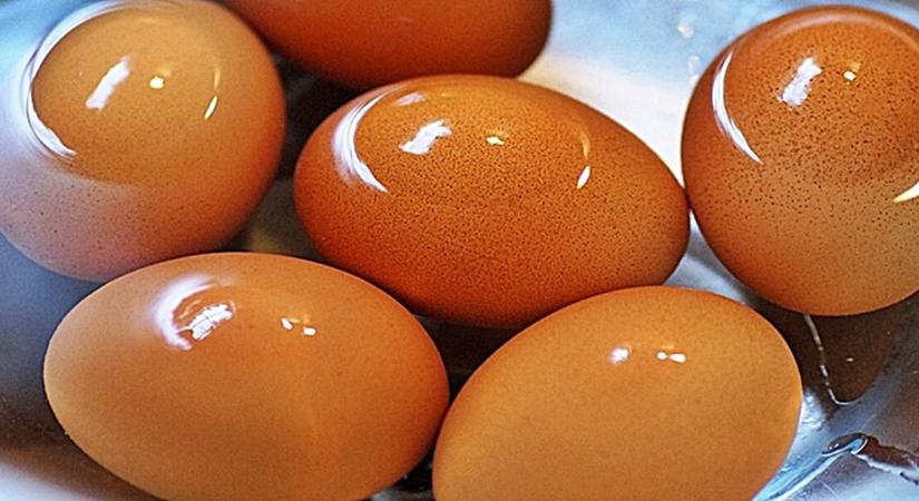 Hatalmasat ugrik a tojás ára 2025 végére – Ha meglátod az árát, dobsz egy hátast