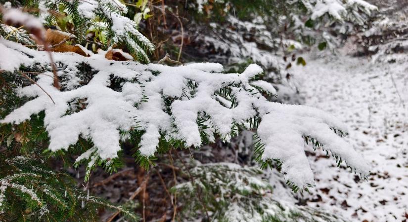 Hóra ébredt Vas vármegye: hamarosan jön a folytatás is