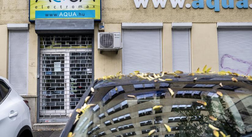 A számok beszélnek: a Temu és társai lassan kivégzik a magyar tulajdonú webáruházakat