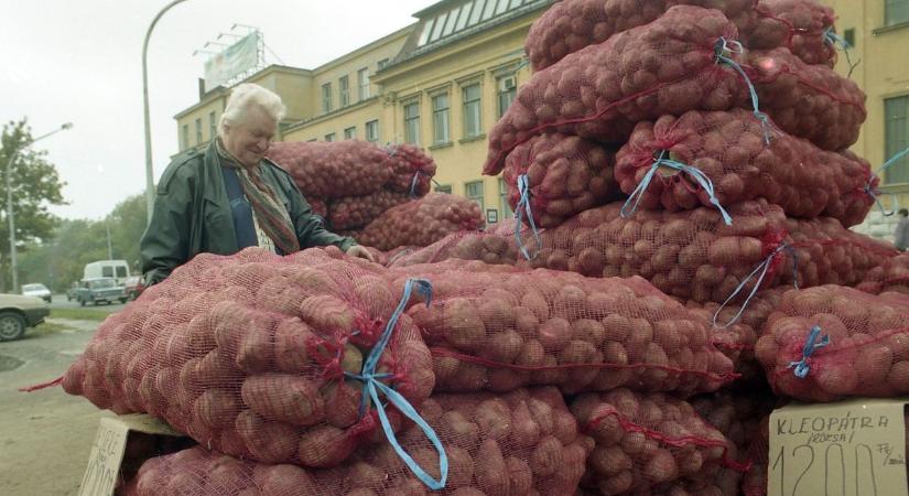 Volt itt gazdatüntetés, máskor meg kutyavásár – nagy titkokat rejt ez a tér (GALÉRIA!)