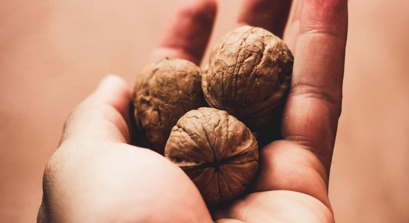 Szuperélelmiszer a magyar kertekből – megvédi a szíved, az agyad és az immunrendszered