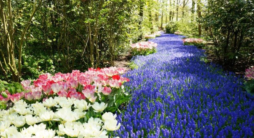 Virágos Magyarország: borsodi településeket is díjaztak