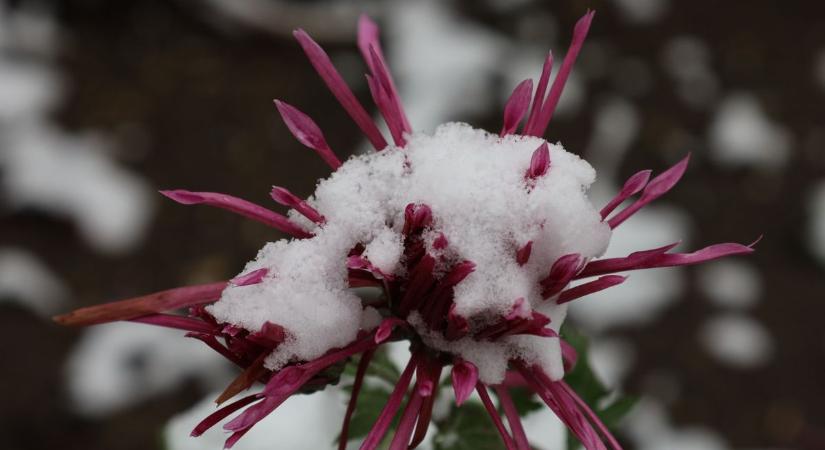 További hó és erős szél érkezik: kemény hétvégét ígér az előrejelzés ( videók)