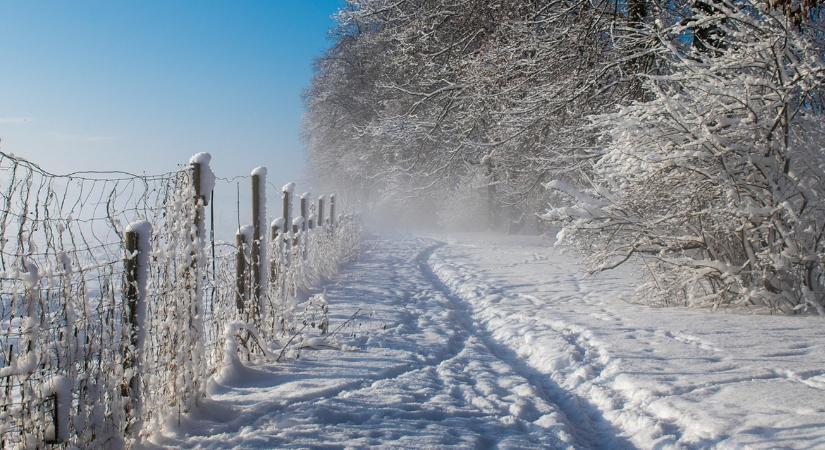 A tél legszebb 15 perces sétái a természetben