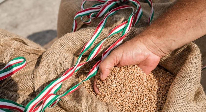 A gazdák felajánlásából elindult a rászorulókhoz a Magyarok Kenyere