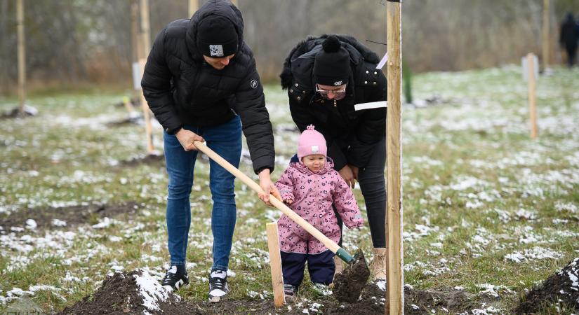 Új helyszínen alakítottak ki Baba-ligetet