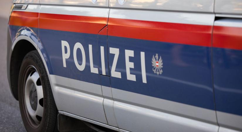 Késsel támadt barátjára egy 13 éves lány Ausztriában