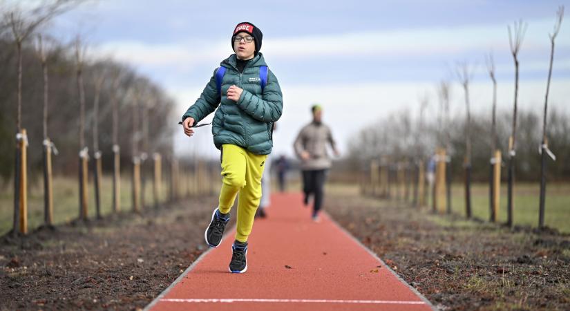 „Polgári körrel” állt pályára Polgár