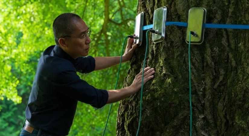 Így utazhatod be fél nap alatt fél Európát