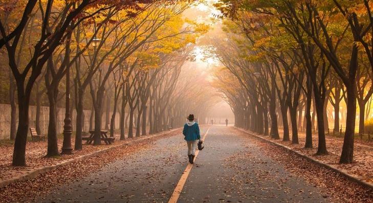 A legjobb sport, amit minden nap végezhet 