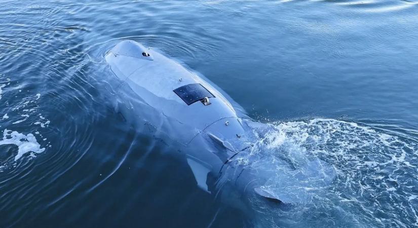 Német „szupercápa”: mesterséges intelligenciával működő drón védi a tengert