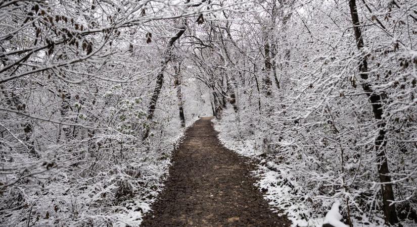 Fehér gyönyörűséggé vált Tatabánya - így hullott le az első hó fotók