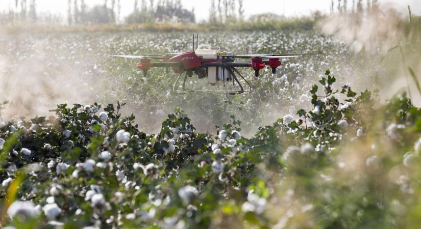 Drón és LiDAR használata forradalmasíthatja a gyümölcstermesztést