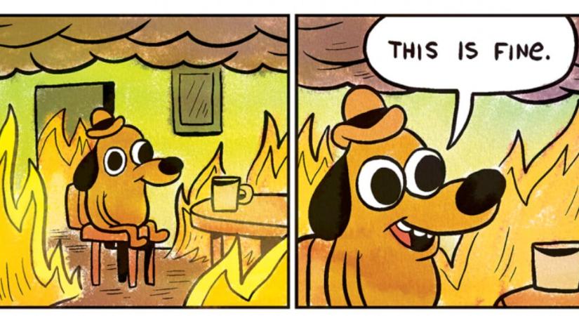 Majdnem kinyírta a Cardanót egy kíváncsi felhasználó hibás tranzakciója